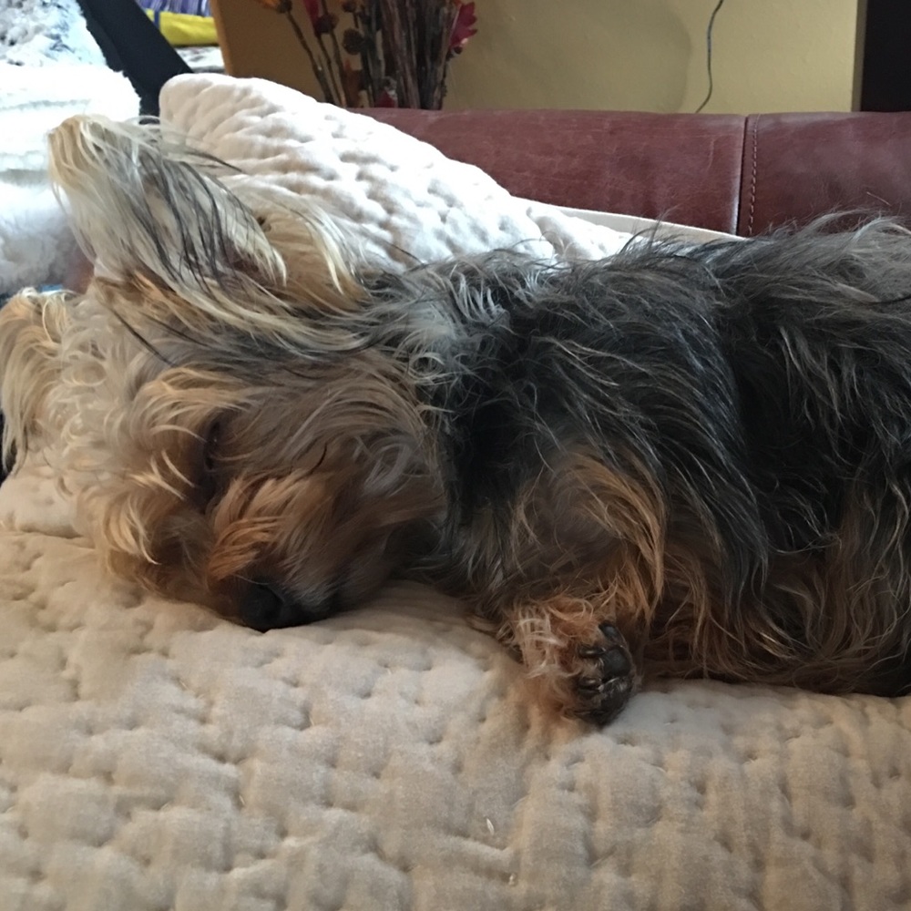Meet your Posher, Ruby